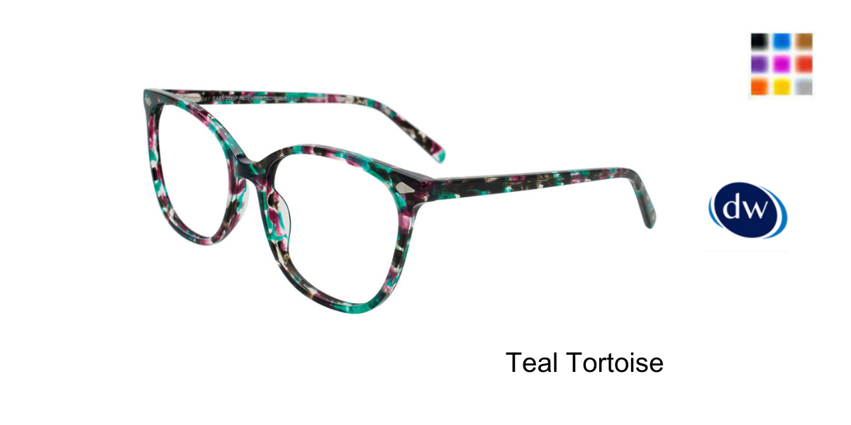 Teal Tortoise