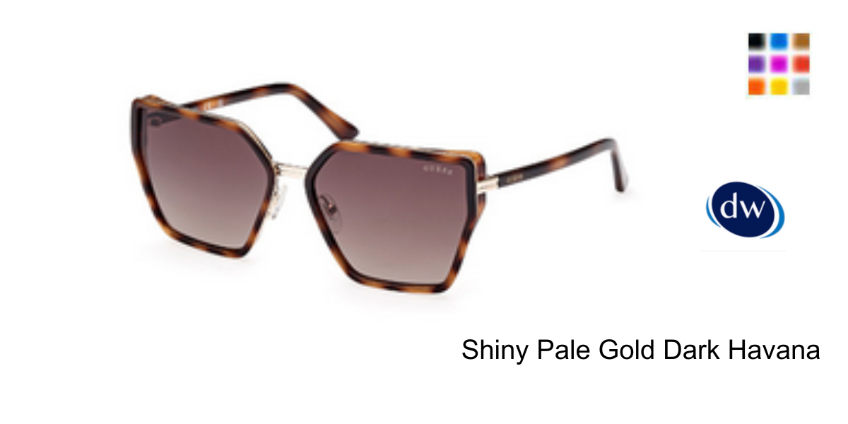 Shiny Pale Gold Dark Havana
