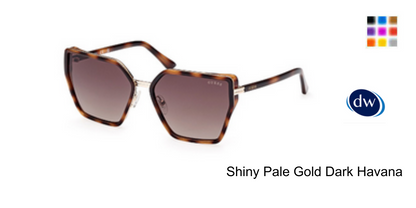 Shiny Pale Gold Dark Havana