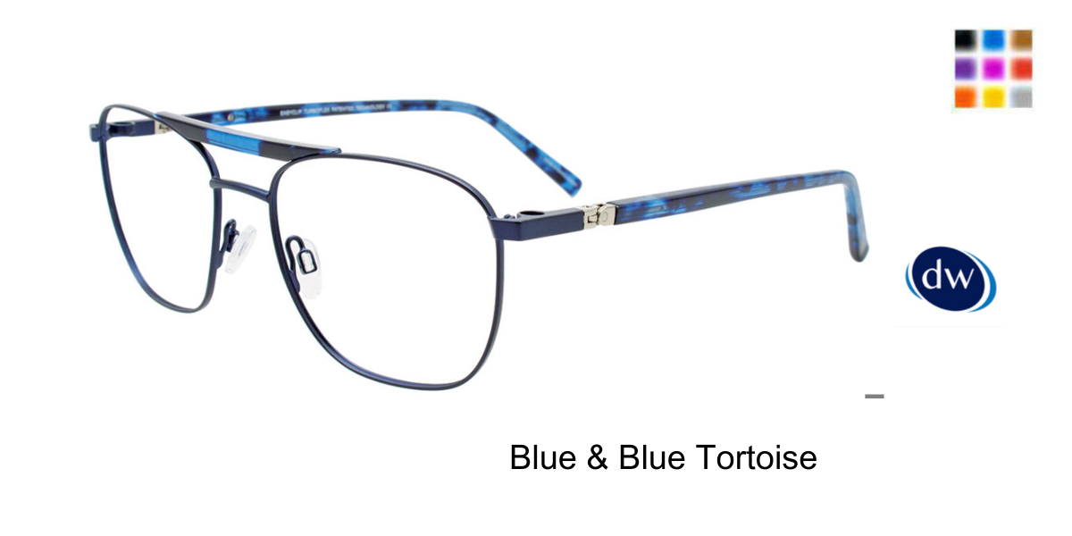 Blue Blue Tortoise