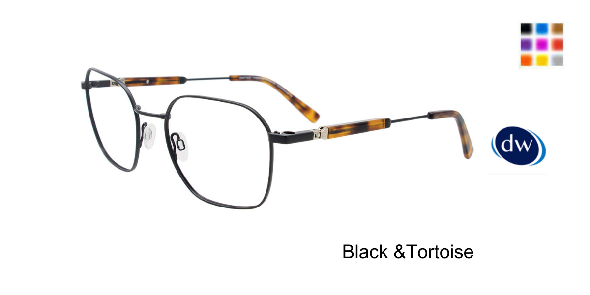 Black & Tortoise