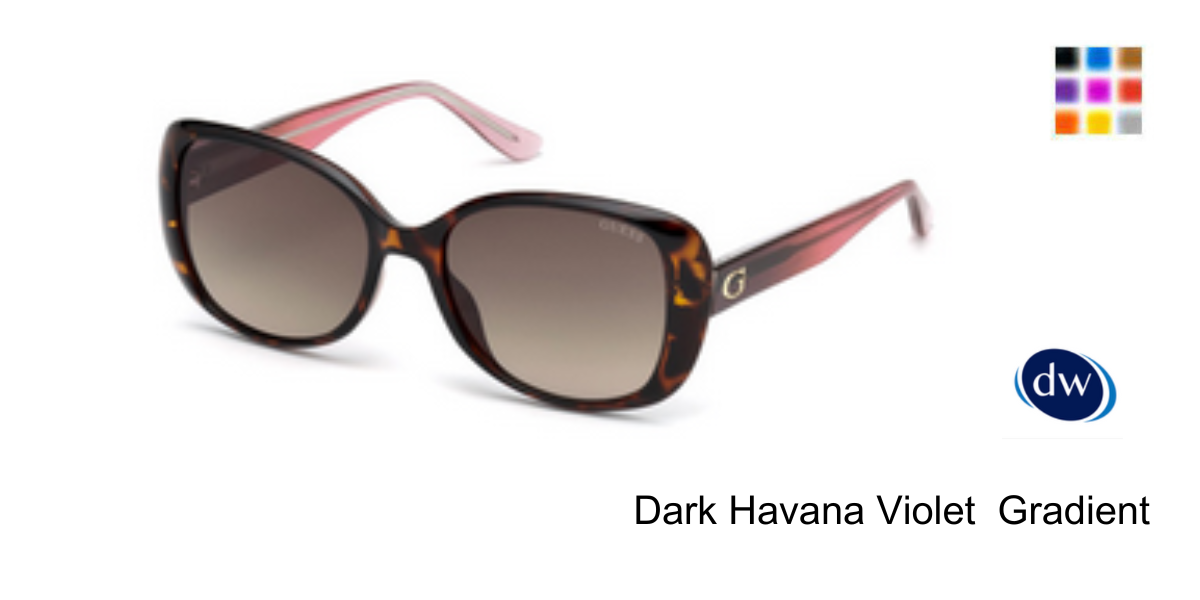 Dark Havana  Violet Gradient