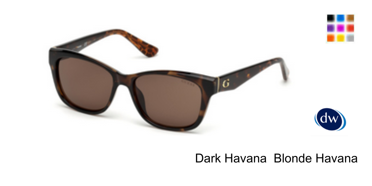 Dark Havana  Blonde Havana