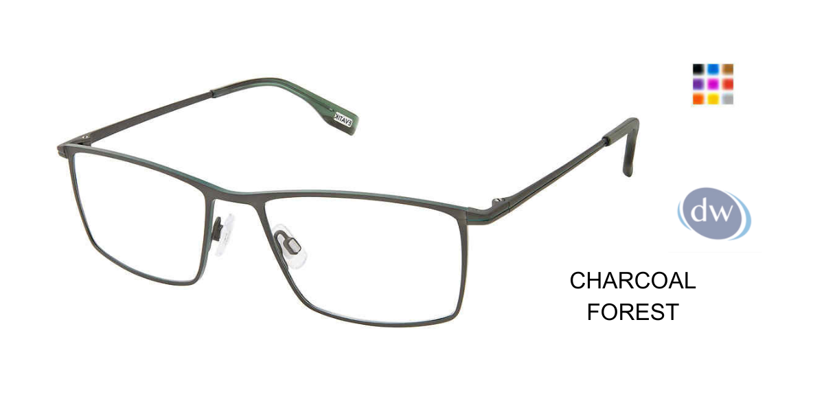 Evatik E-9231 Eyeglasses CHARCOAL FOREST