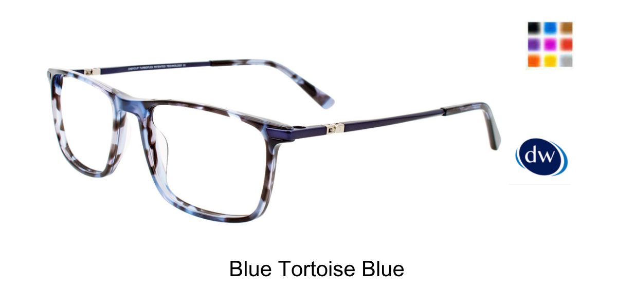 Blue Tortoise Blue
