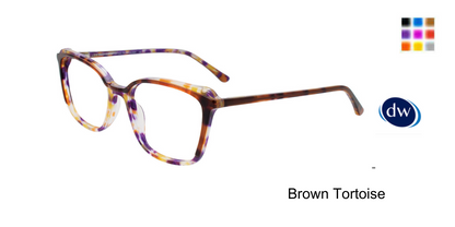 Brown Tortoise
