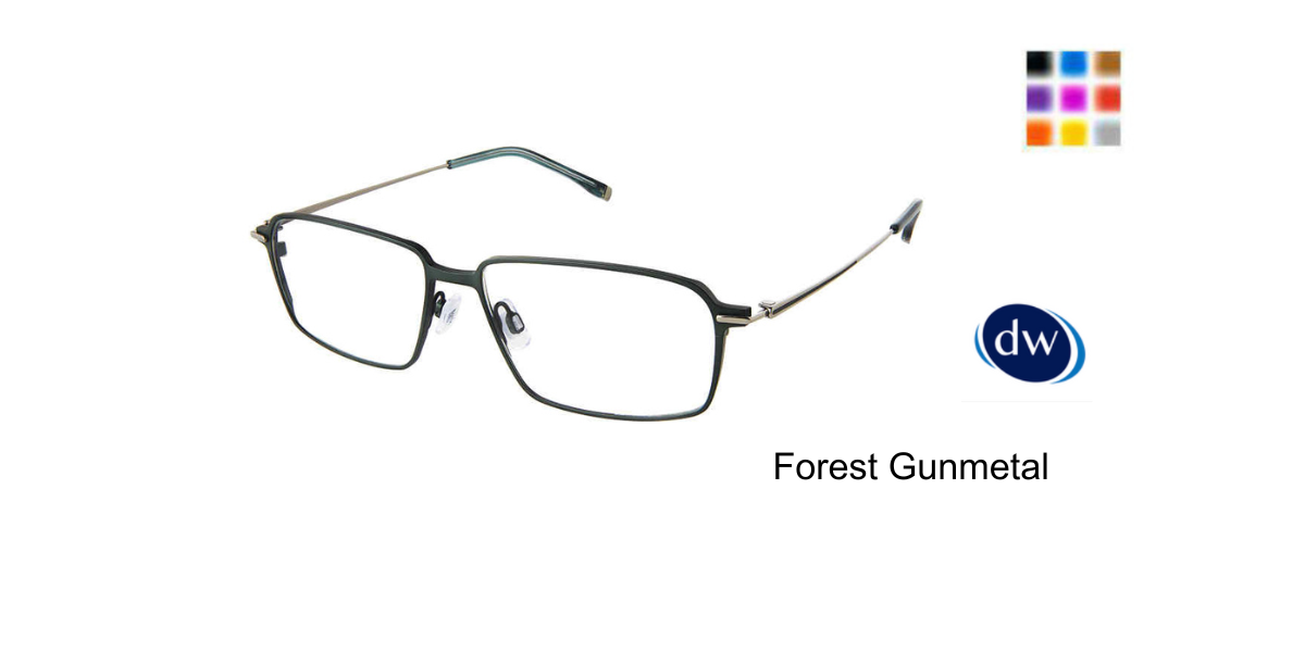 Forest Gunmetal