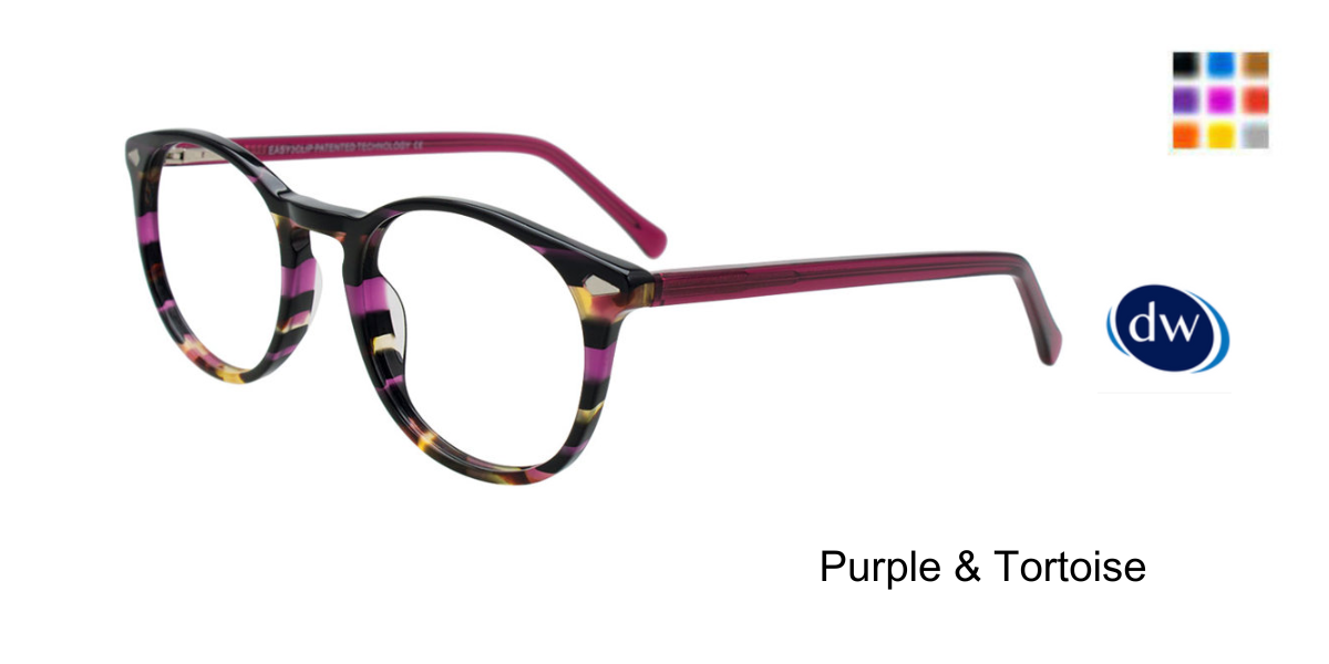 Purple Tortoise