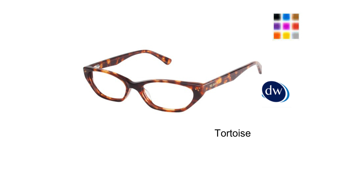 Tortoise