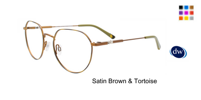 Satin Brown Tortoise
