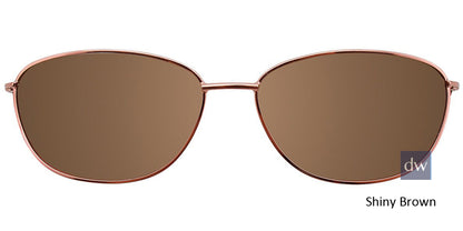 Shiny Brown Clip-On