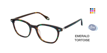 FYSH F-3716 Eyeglasses Emerald Tortoise