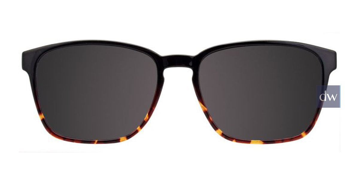 Demi Ambre & Black Cargo C5052 Sunglasses.