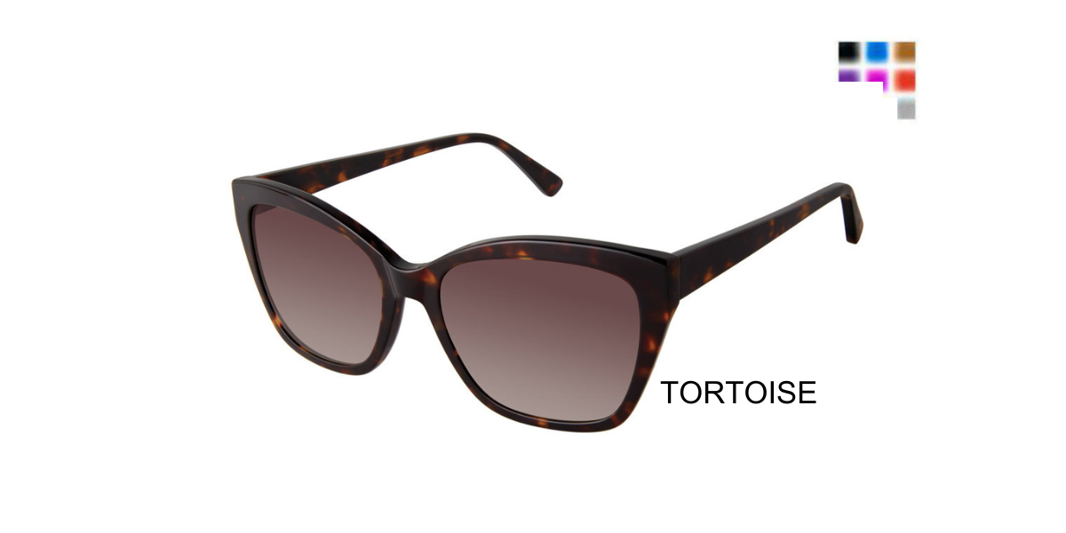 TORTOISE