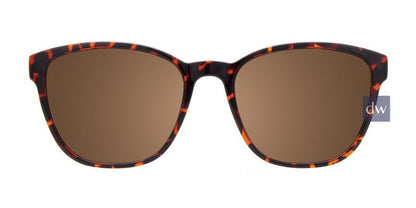 Demi Ambre Cargo C5053 Sunglasses.