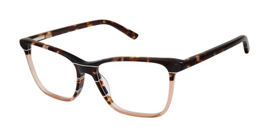 Tortoise    LA065