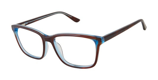 Tortoise Blue  GX069