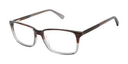 Tortoise/Grey - TOR