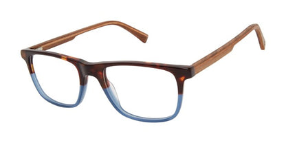 Tortoise/Blue - TOR