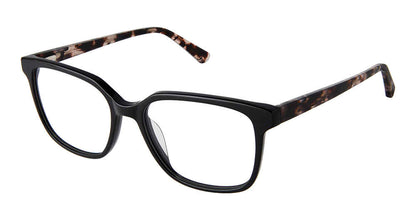 Black Rose Tortoise