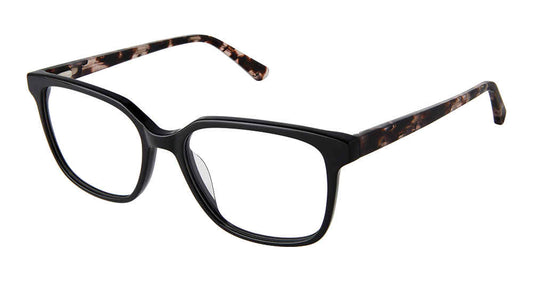 Black Rose Tortoise