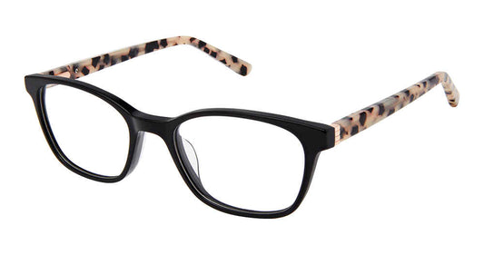 Black Rose Tortoise