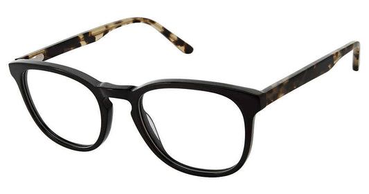 BLACK TORTOISE   SF-556
