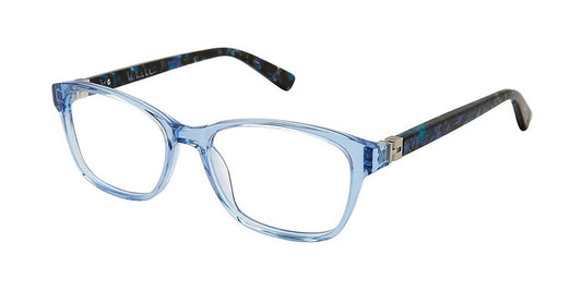 Blue Tortoise