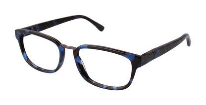 Blue Tortoise            B885