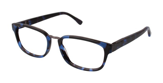 Blue Tortoise            B885