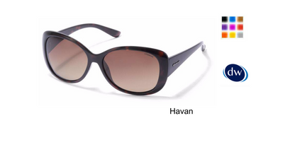 Havan