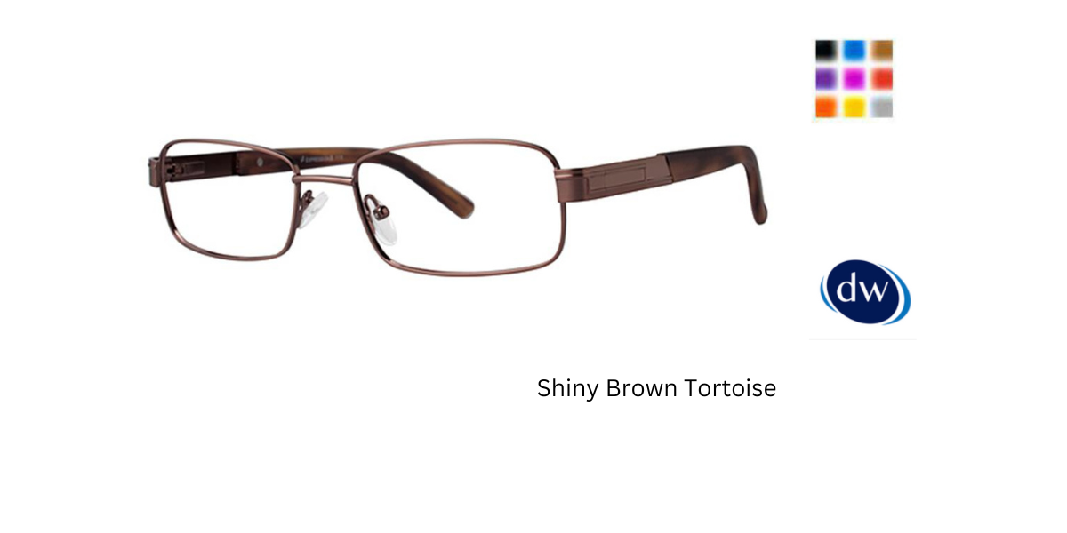 Shiny Brown Tortoise