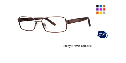 Shiny Brown Tortoise