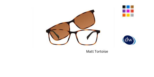 Matt Tortoise