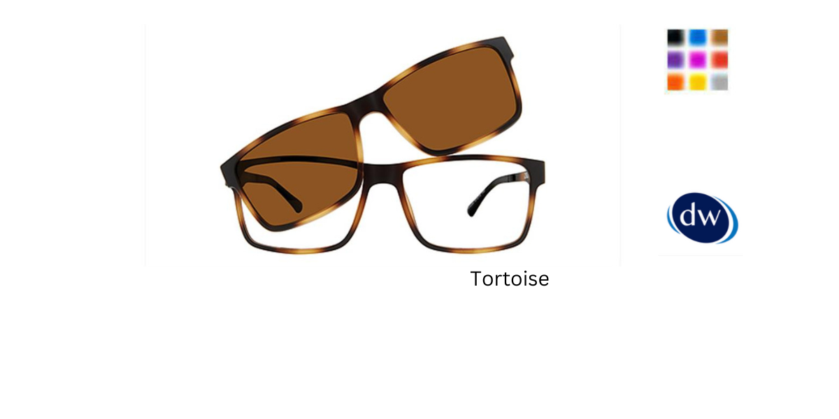 Tortoise