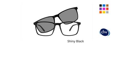 Shiny Black