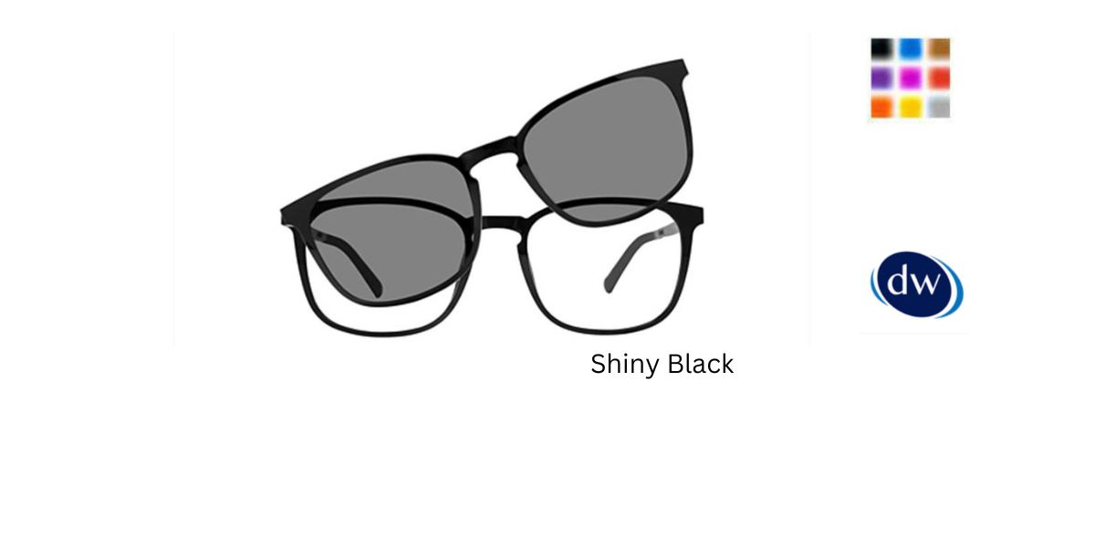 Shiny Black