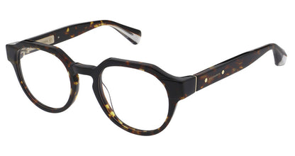 AllSaints CAREY Eyeglasses