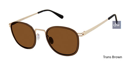 Trans Brown Sperry EXETER Polarized Sunglasses - Teenager.