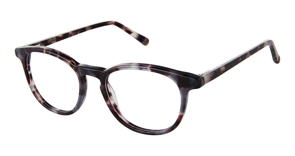 Grey Tortoise
