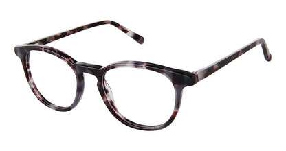 Grey Tortoise