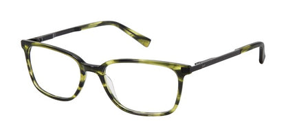 TED BAKER OPTICAL TFM001 Eyeglasses