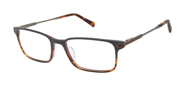 Grey Brown Horn             TFM009