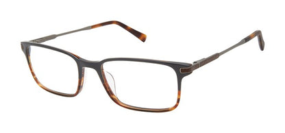 Grey Brown Horn             TFM009
