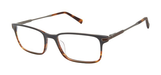 Grey Brown Horn             TFM009