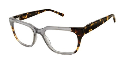 Grey Tokyo Tortoise
