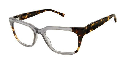 Grey Tokyo Tortoise
