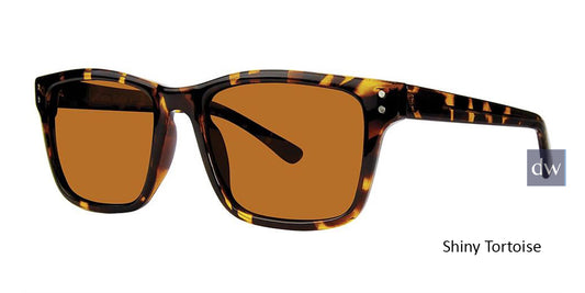 Shiny Tortoise Vivid Retro Shades 4 Sunglasses.