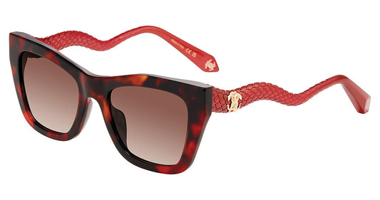 Roberto Cavalli SRC129M women's square full-rim sunglasses in Shiny Red Havana with dark red-and-brown mottling, red snake-style temples, warm gradient lenses, and gold-toned logos.

