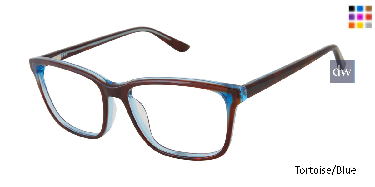 Tortoise Blue   GX069
